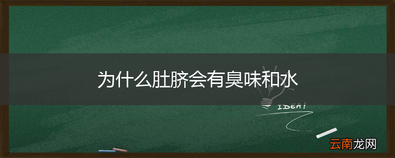 为什么肚脐会有臭味和水