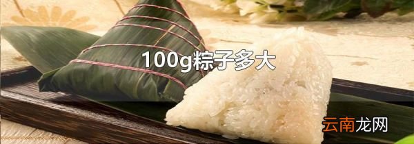 100g粽子多大