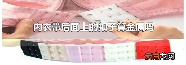内衣带后面上的扣子算金属吗