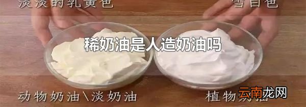 稀奶油是人造奶油吗
