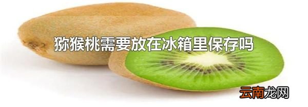 猕猴桃需要放在冰箱里保存吗