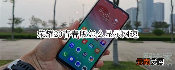 荣耀20青春版怎么显示网速