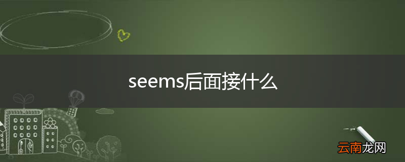 seems后面接什么