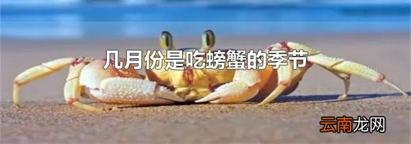 几月份是吃螃蟹的季节