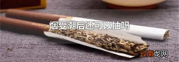烟受潮后还可以抽吗
