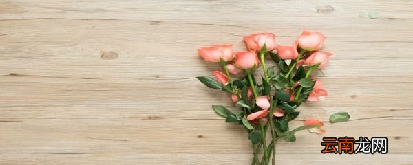 情人节创意礼物 情人节的介绍