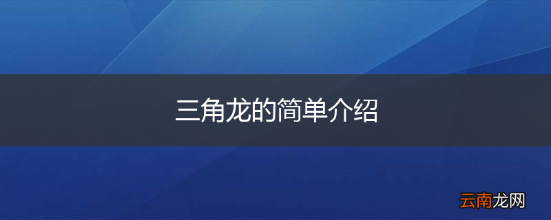 三角龙的简单介绍