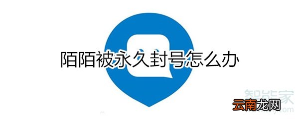 陌陌被永久封号怎么办