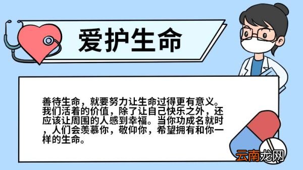 爱护生命手抄报 爱护生命手抄报怎么画
