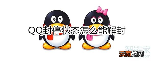 qq封停状态怎么能解封