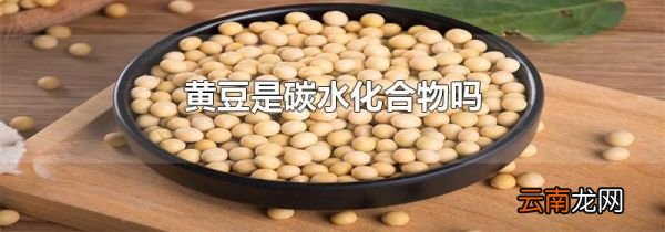 黄豆是碳水化合物吗