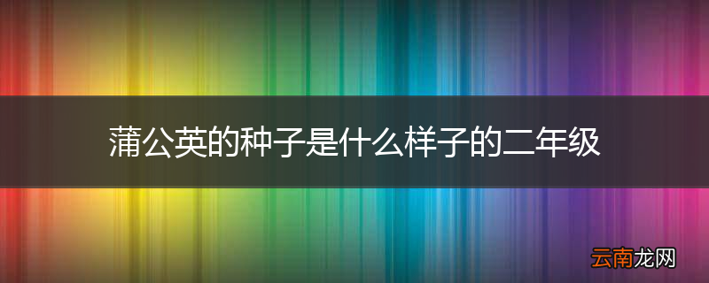 蒲公英的种子是什么样子的二年级