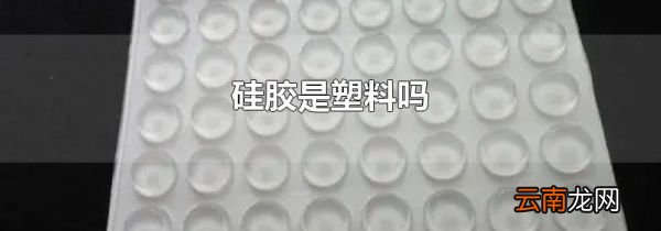 硅胶是塑料吗