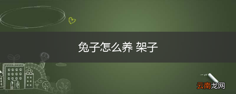 兔子怎么养 架子