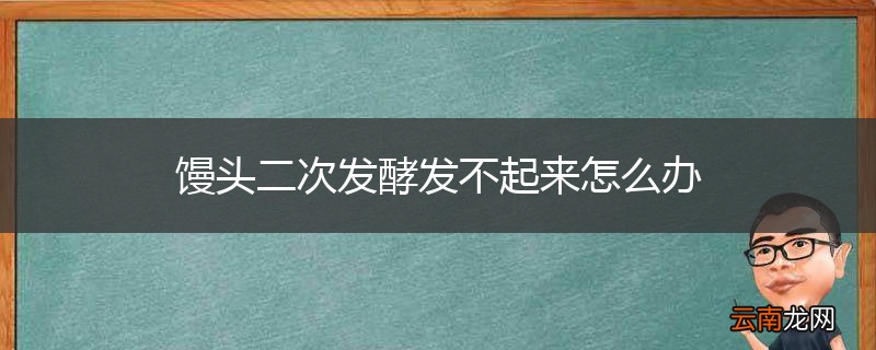 馒头二次发酵发不起来怎么办