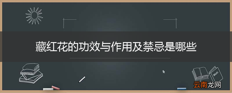 藏红花的功效与作用及禁忌是哪些