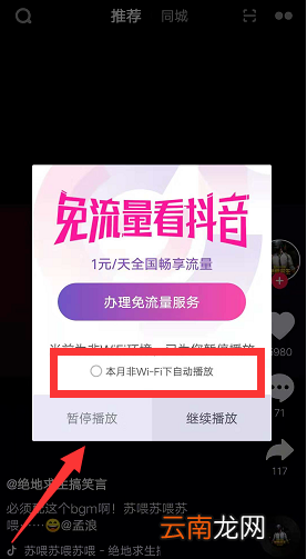 抖音可以自动播放下一条吗