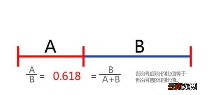 黄金比例怎么算？