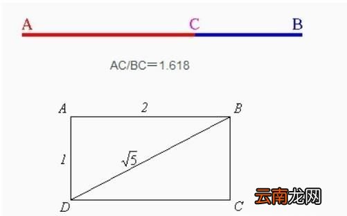 黄金比例怎么算？