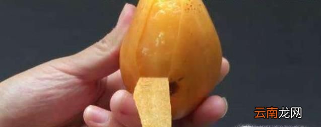枇杷该怎么吃？