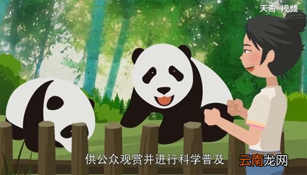 动物园里有什么动物 动物园里有什么