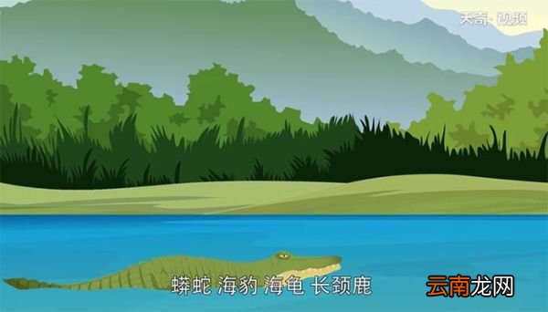 动物园里有什么动物 动物园里有什么