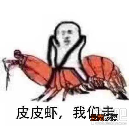 “皮皮虾我们走”是什么梗？跨界皮皮虾表情包分享一览