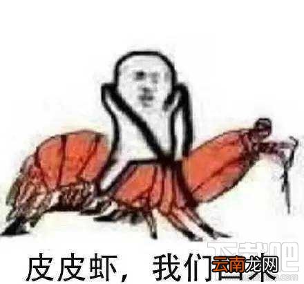 “皮皮虾我们走”是什么梗？跨界皮皮虾表情包分享一览