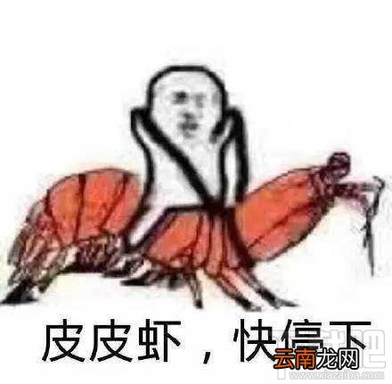 “皮皮虾我们走”是什么梗？跨界皮皮虾表情包分享一览