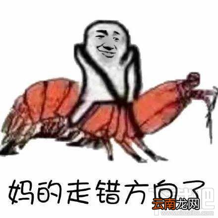 “皮皮虾我们走”是什么梗？跨界皮皮虾表情包分享一览