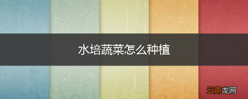 水培蔬菜怎么种植