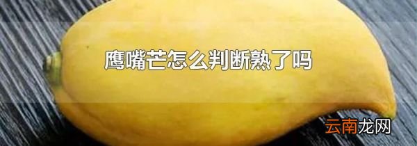 鹰嘴芒怎么判断熟了吗