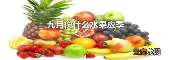 九月份什么水果应季
