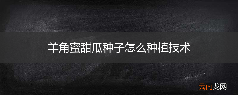 羊角蜜甜瓜种子怎么种植技术