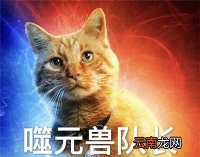 噬元兽是什么？