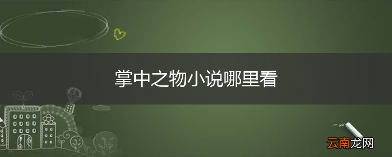 掌中之物小说哪里看