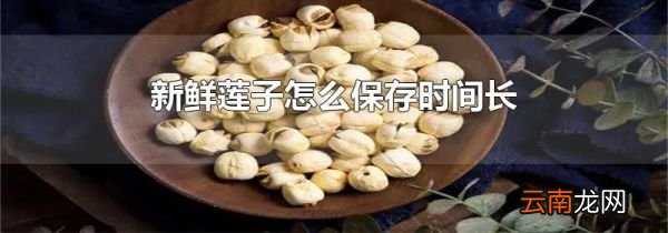 新鲜莲子怎么保存时间长