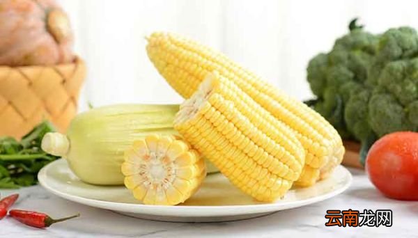 玉米是酸性还是碱性 常见的酸性食物和碱性食物