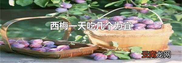 西梅一天吃几个为宜