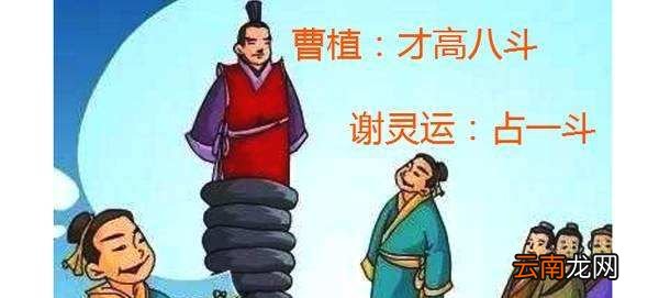 才高八斗由什么典故而来？