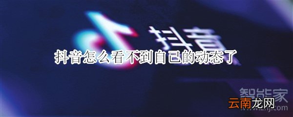抖音怎么看不到自己的动态了