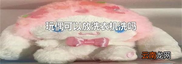 玩偶可以放洗衣机洗吗