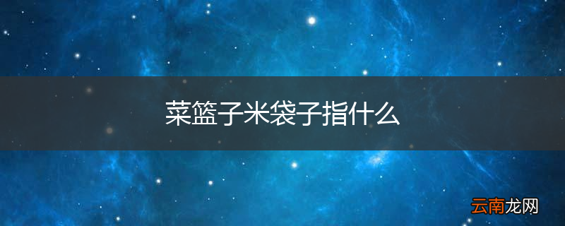 菜篮子米袋子指什么