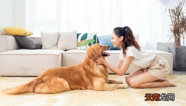狗怕什么气味 狗怕什么气味一闻就跑