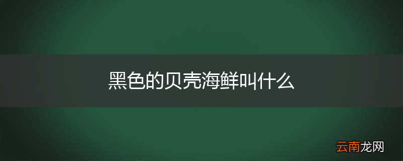 黑色的贝壳海鲜叫什么