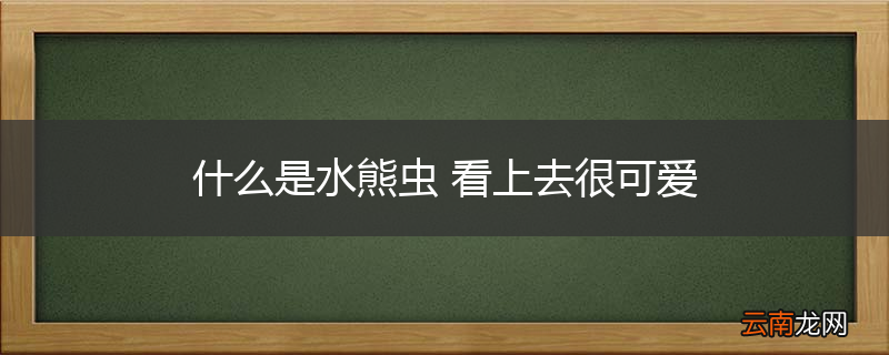 什么是水熊虫 看上去很可爱