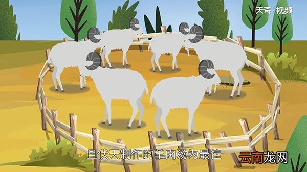 羊汤增香秘方