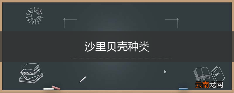 沙里贝壳种类