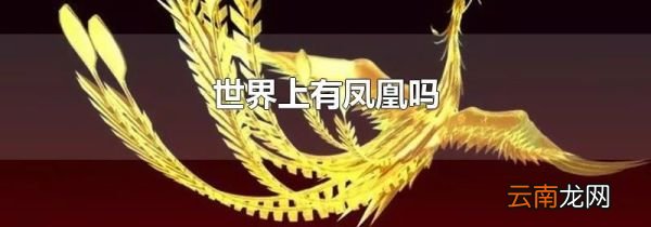 世界上有凤凰吗