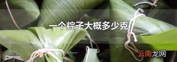一个粽子大概多少克